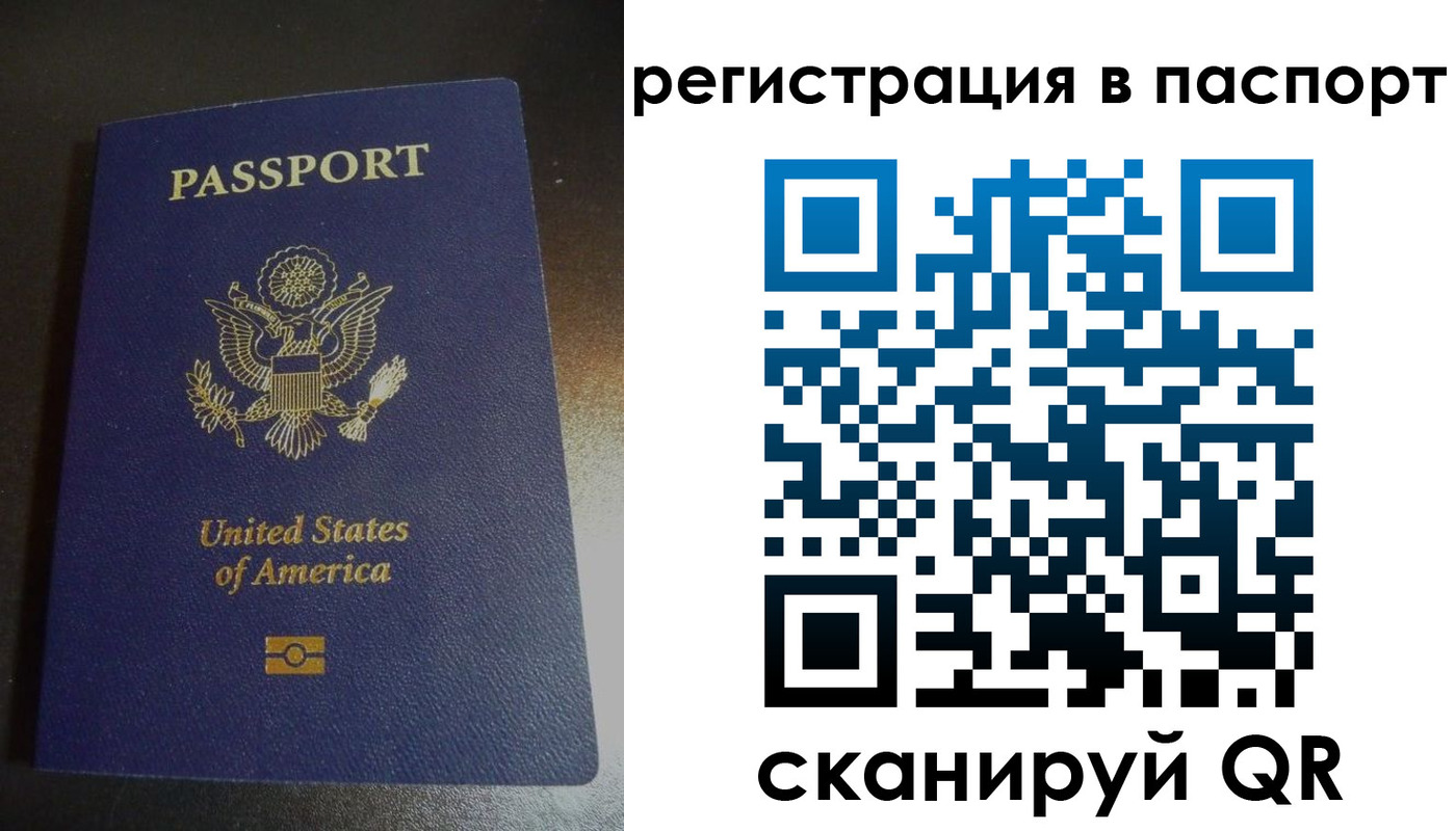 прописка для школы в Лобне